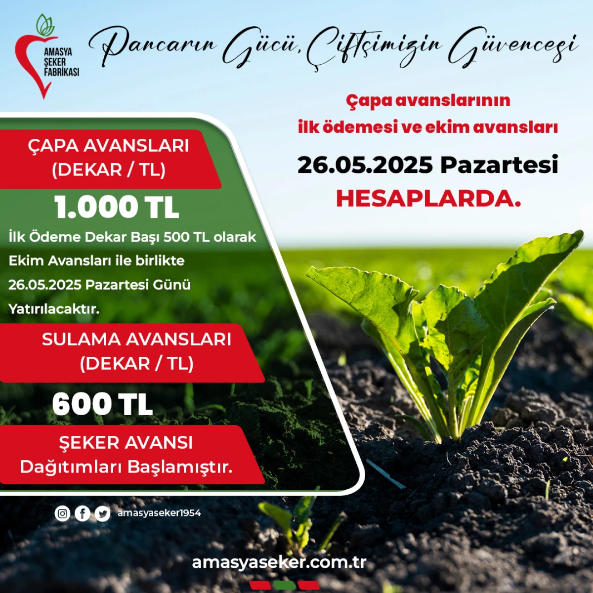 Amasya Şeker Fabrikası’ndan Çiftçilere Müjde: 2025-2026 Pancar Üretim Yılı Avans Ödemeleri Başlıyor