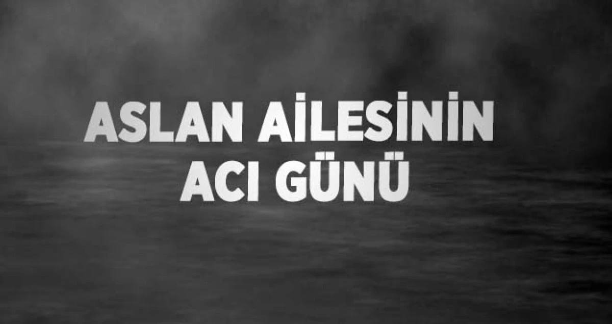 Aslan Ailesinin Acı Günü
