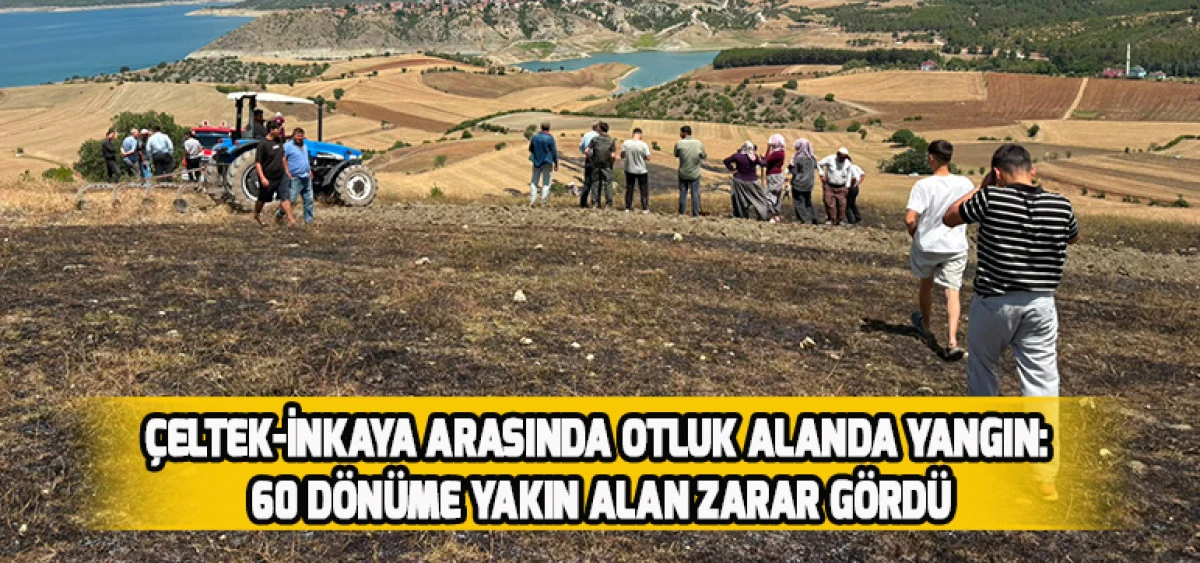 &Ccedil;eltek-İnkaya Arasında Otluk Alanda Yangın: 60 D&ouml;n&uuml;me Yakın Alan Zarar G&ouml;rd&uuml;