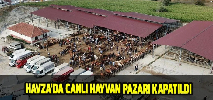 Havza&rsquo;da Canlı Hayvan Pazarı Kapatıldı