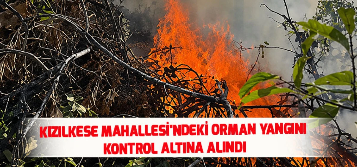 Kızılkese Mahallesi'ndeki Orman Yangını Kontrol Altına Alındı