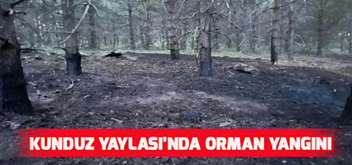 Kunduz Yaylası’nda Orman Yangını
