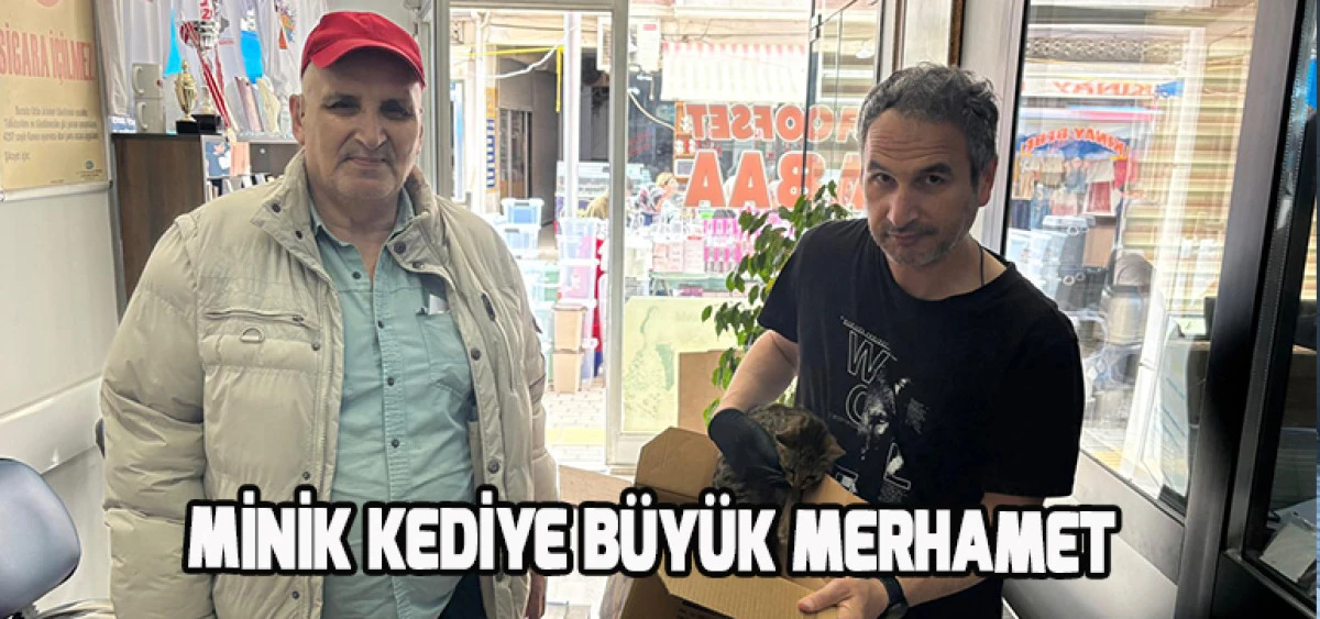 Minik Kediye B&uuml;y&uuml;k Merhamet