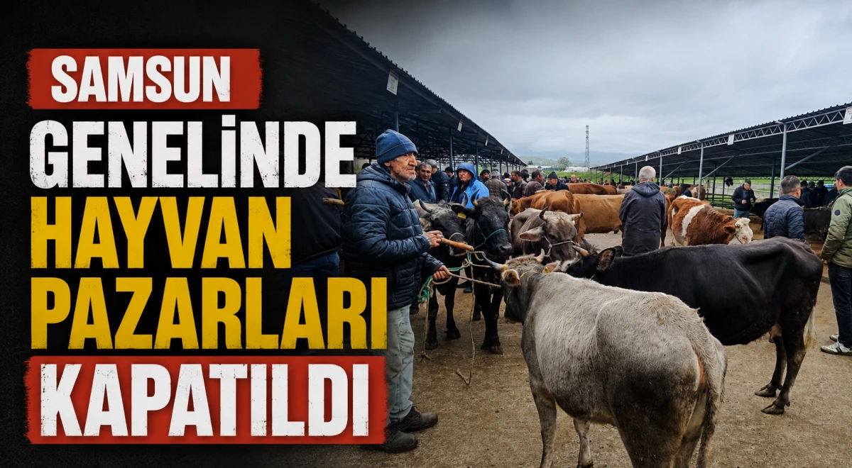 Samsun Genelinde Hayvan Pazarları Kapatıldı