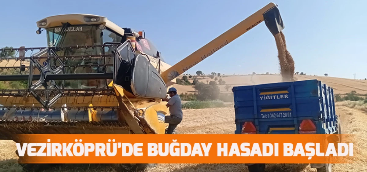 VEZİRKÖPRÜ’DE BUĞDAY HASADI BAŞLADI